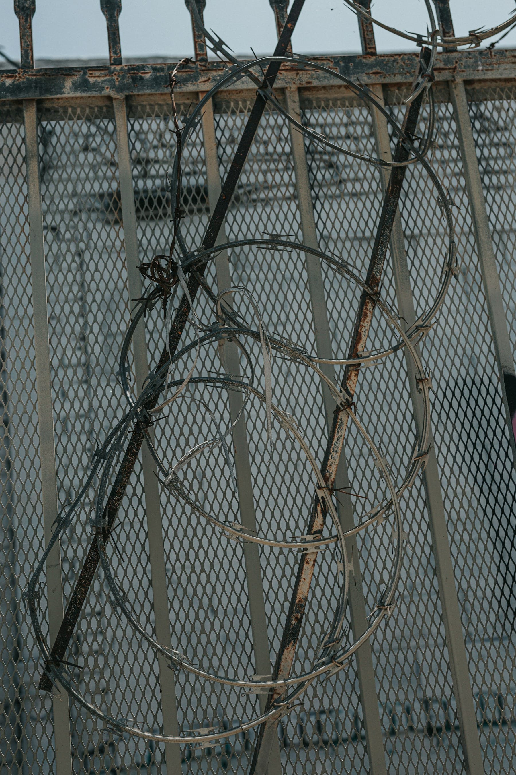 A non-electrified perimeter fence reinforced with coiled barbed wire